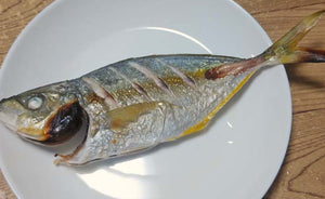 シマアジのグリル・塩焼き