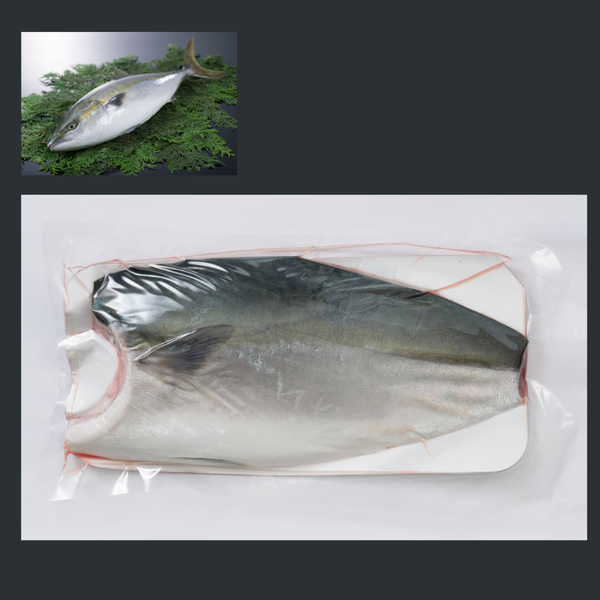 ブリフィレ (Buri/Hamachi filet) （業務用）