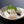 タイフィレ (Tai filet) （業務用）