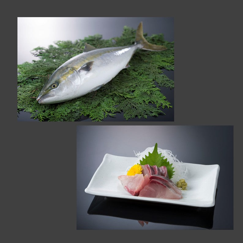 Clam chowder – 産地直送サイト