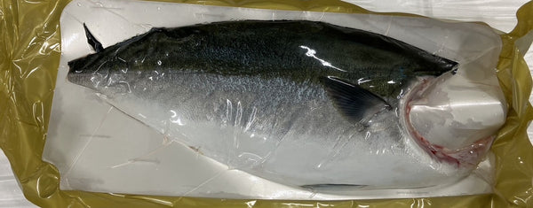 ブリフィレ (Buri/Hamachi filet) （業務用）