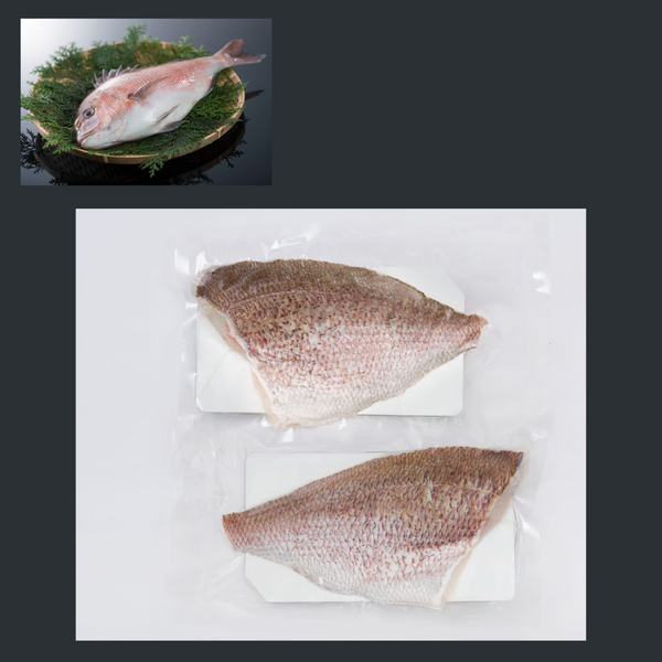 タイフィレ (Tai filet) （業務用）